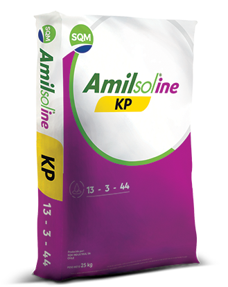 Fertilizante Nitrato de Potasio + Yodo - Amilsol®ine KP 25 Kg