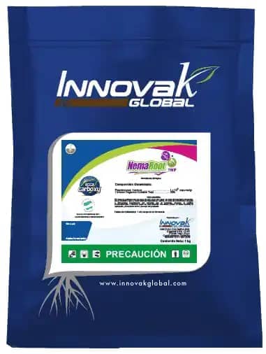 Bioinsumo Nemaroot 1kg