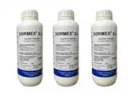 DORMEX.jpg