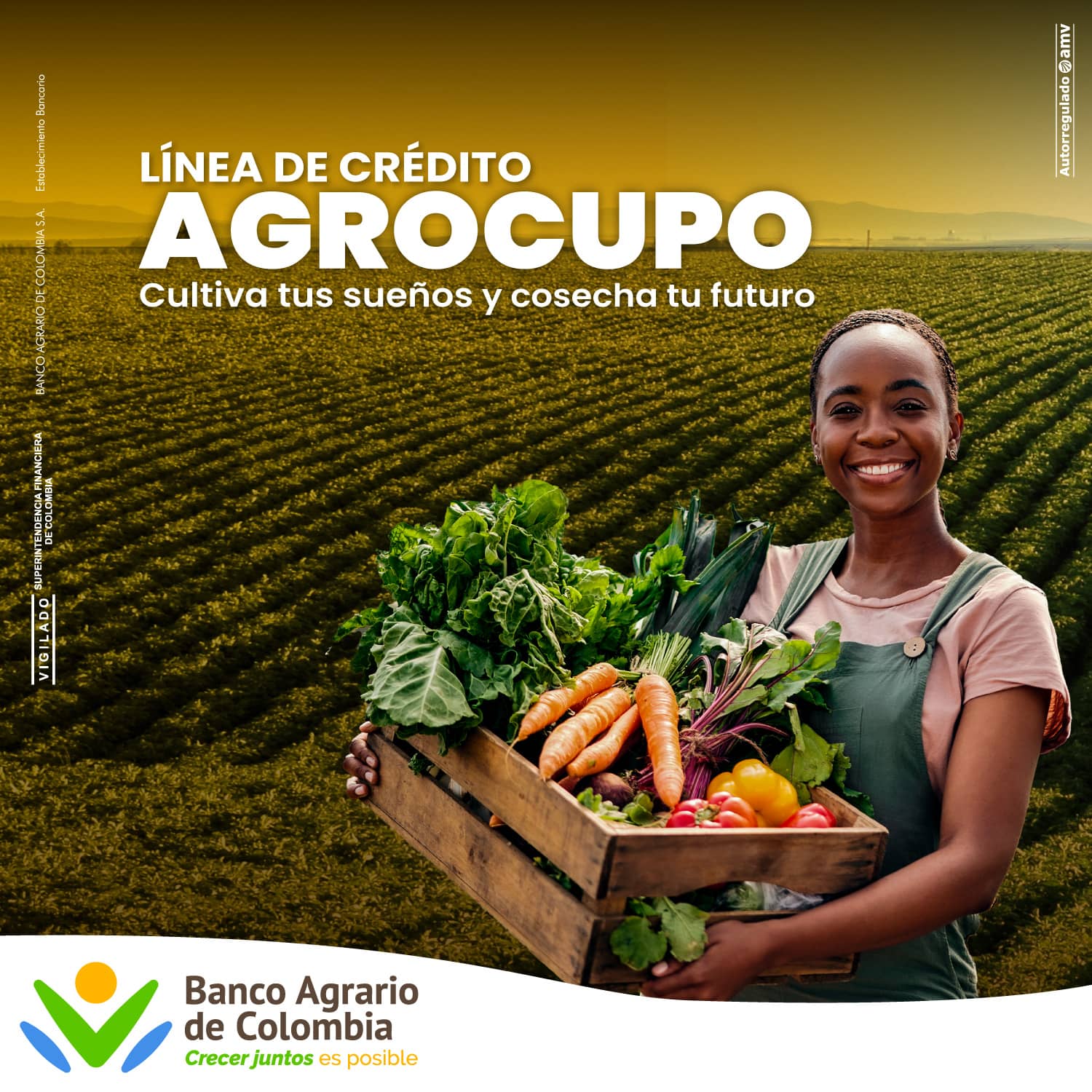 Línea Crédito Agrocupo