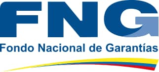 Logo FNG.png