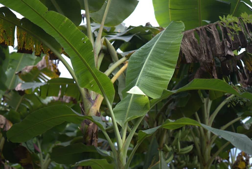 Captura de pantalla 2024-12-18 210231.png