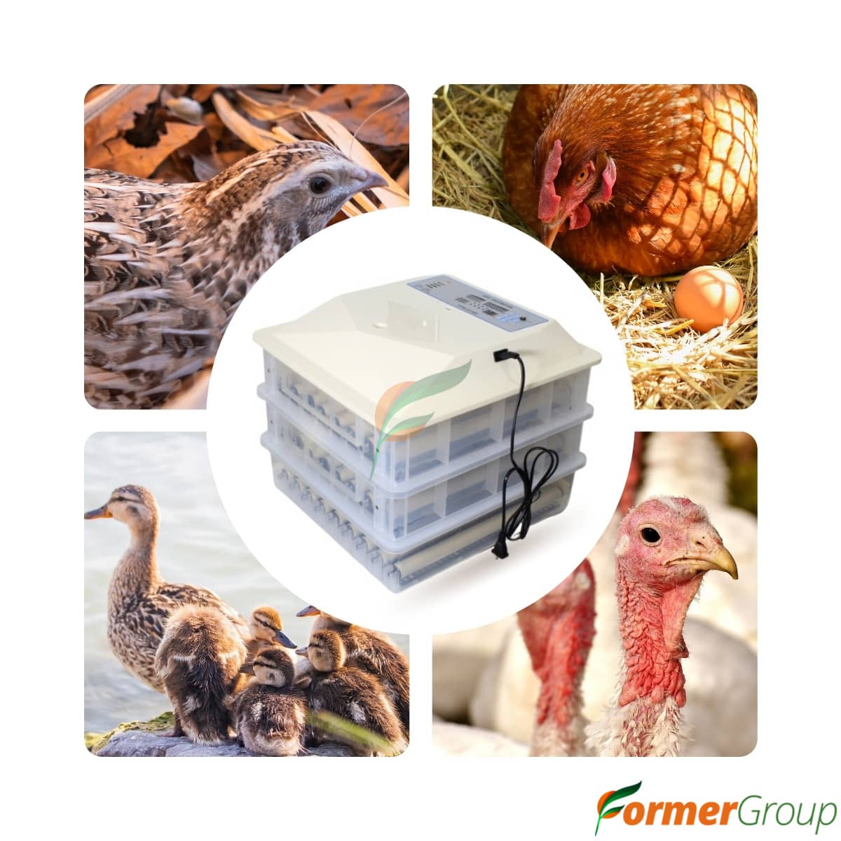 Incubadora Automática 150 Huevos