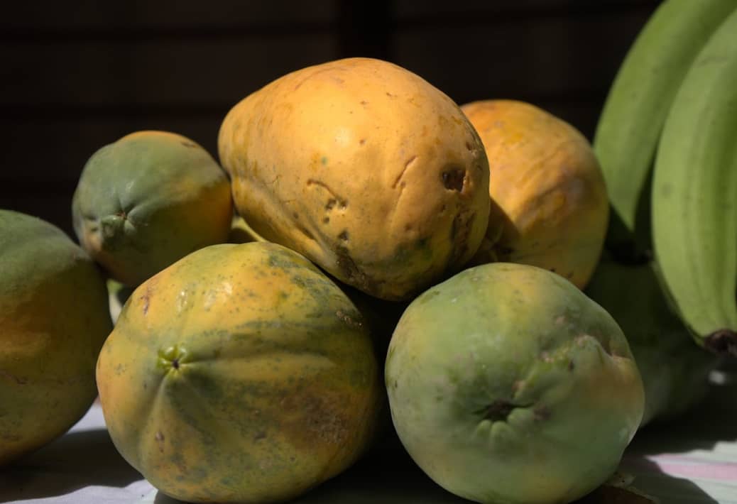 Captura de pantalla 2024-12-11 094946.png