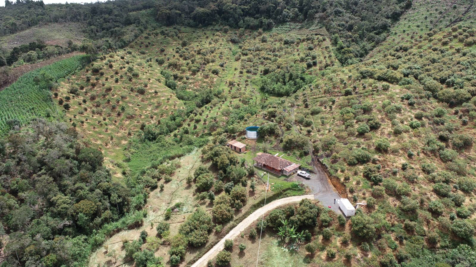 Finca de Aguacate Hass en Venta en Antioquia | Sol de Oriente