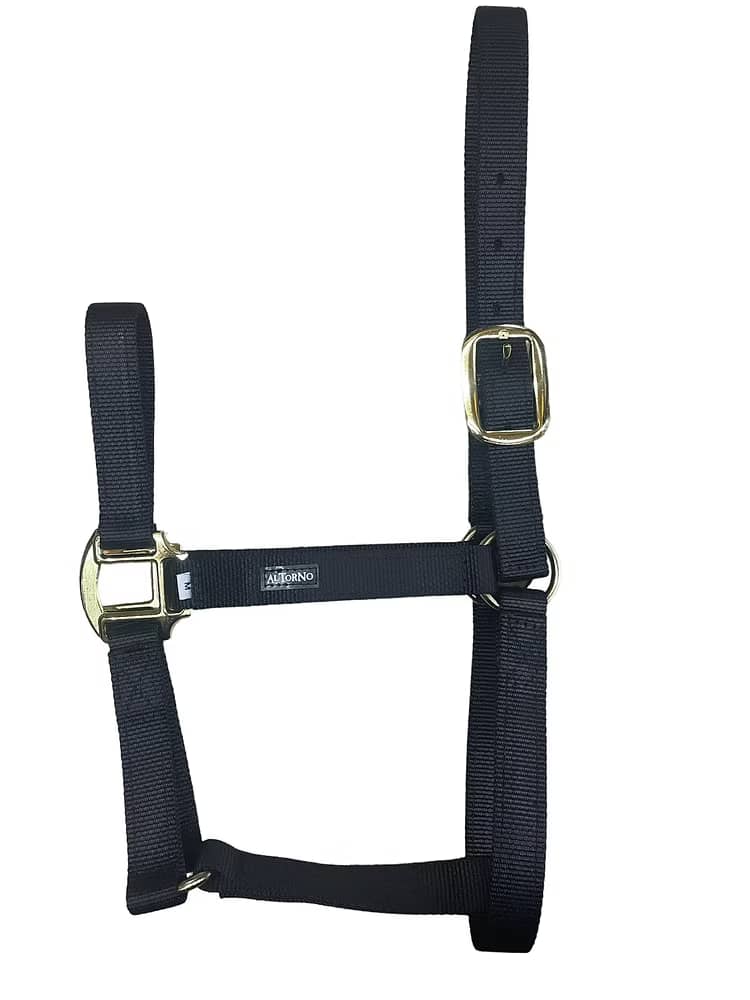 Jaquimón Reata para Potros de 6 a 15 Meses