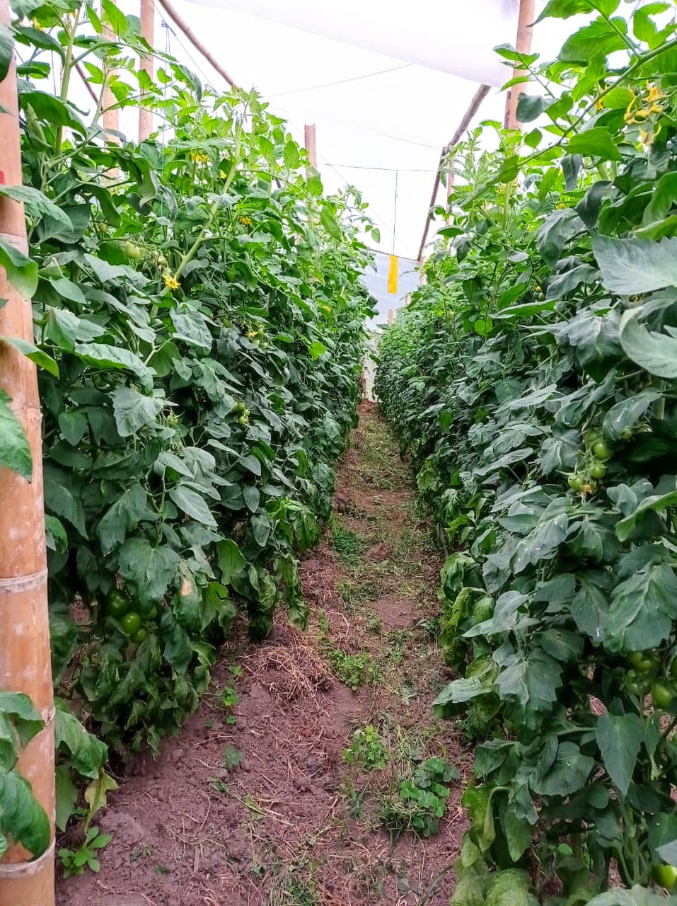 WhatsApp Image 2023-02-23 at 9.35.32 PM.jpeg