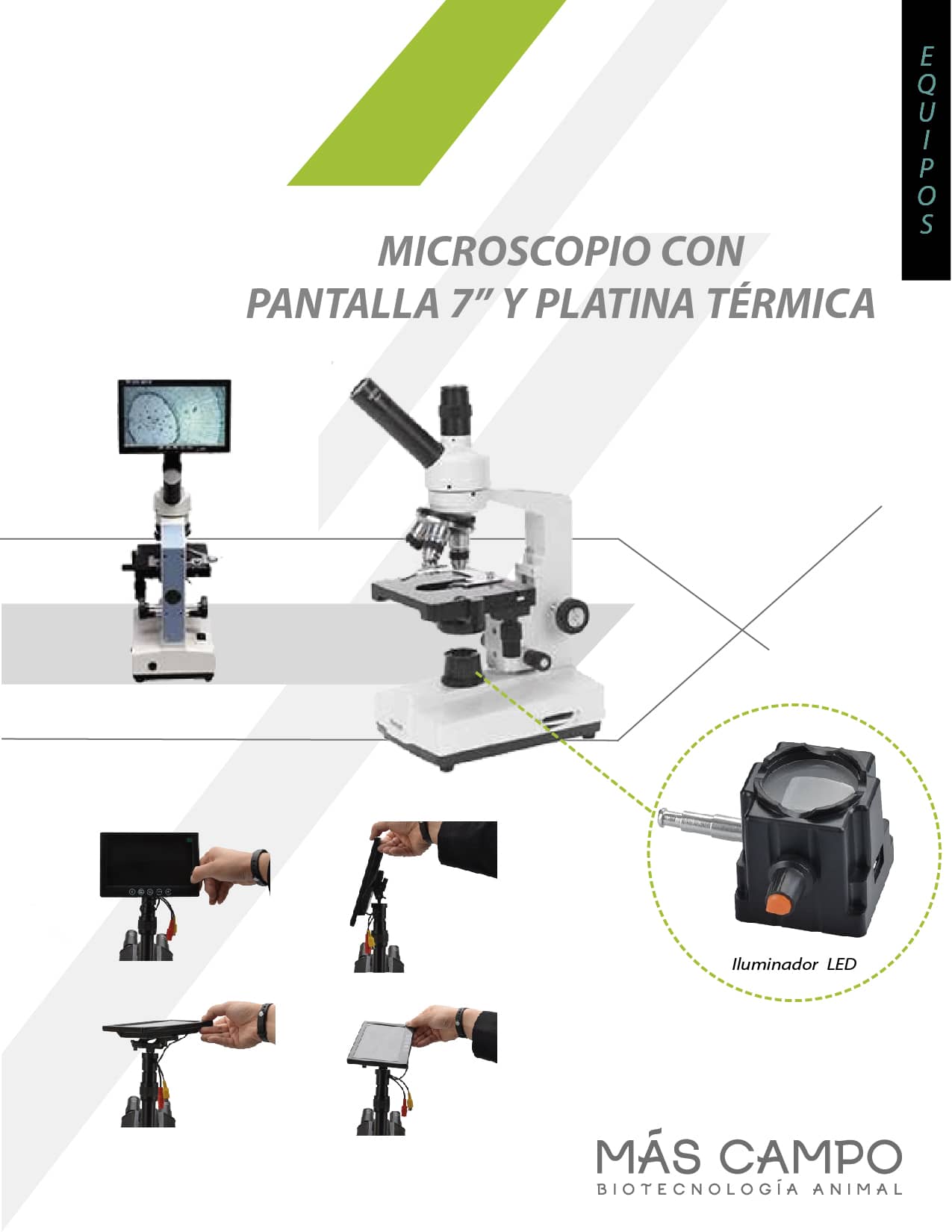 Microscopio con pantalla de 7 pulgadas - platina térmica