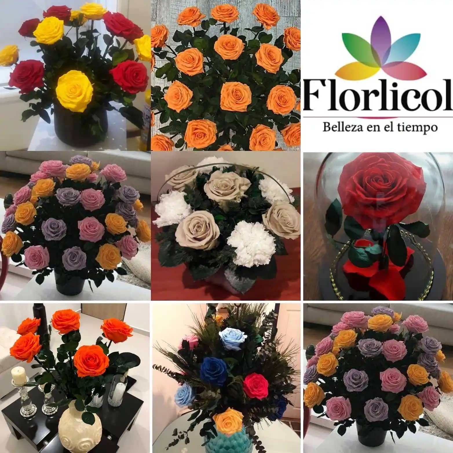 Collage-florlicol.jpeg