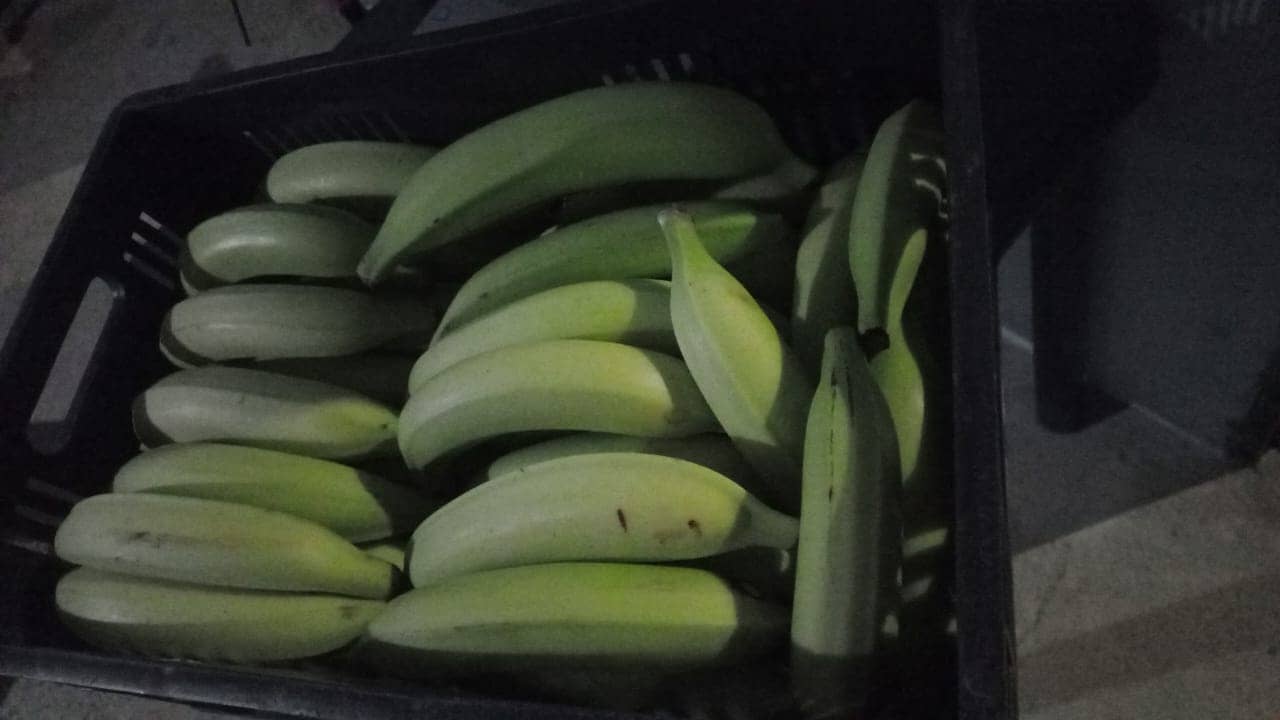 Imagen de WhatsApp 2024-01-25 a las 17.42.54_4aab3185.jpg