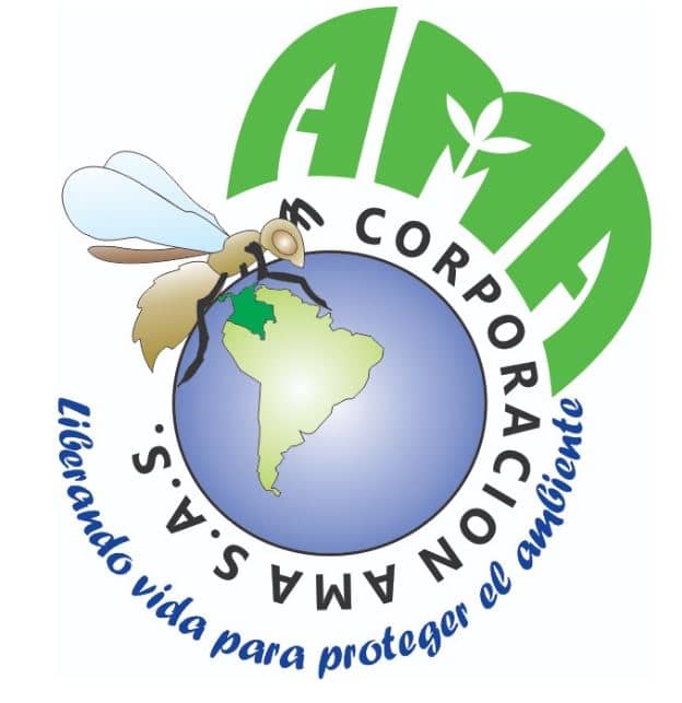 CORPORACIÓN AMA