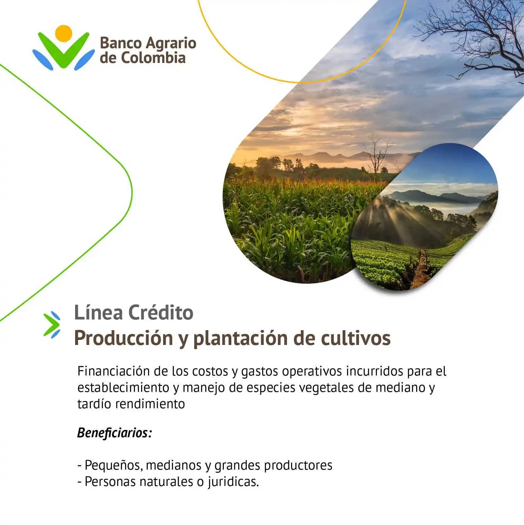 Línea de Crédito Producción y plantación de cultivos