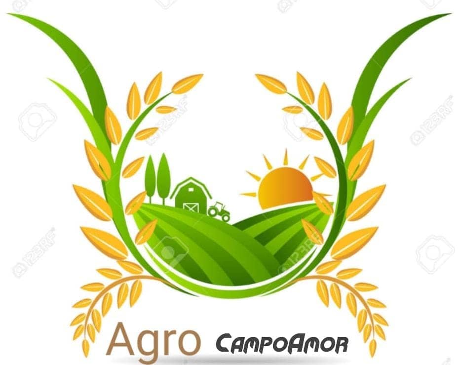 MILTON MIGUEL MORENO HERNANDEZ