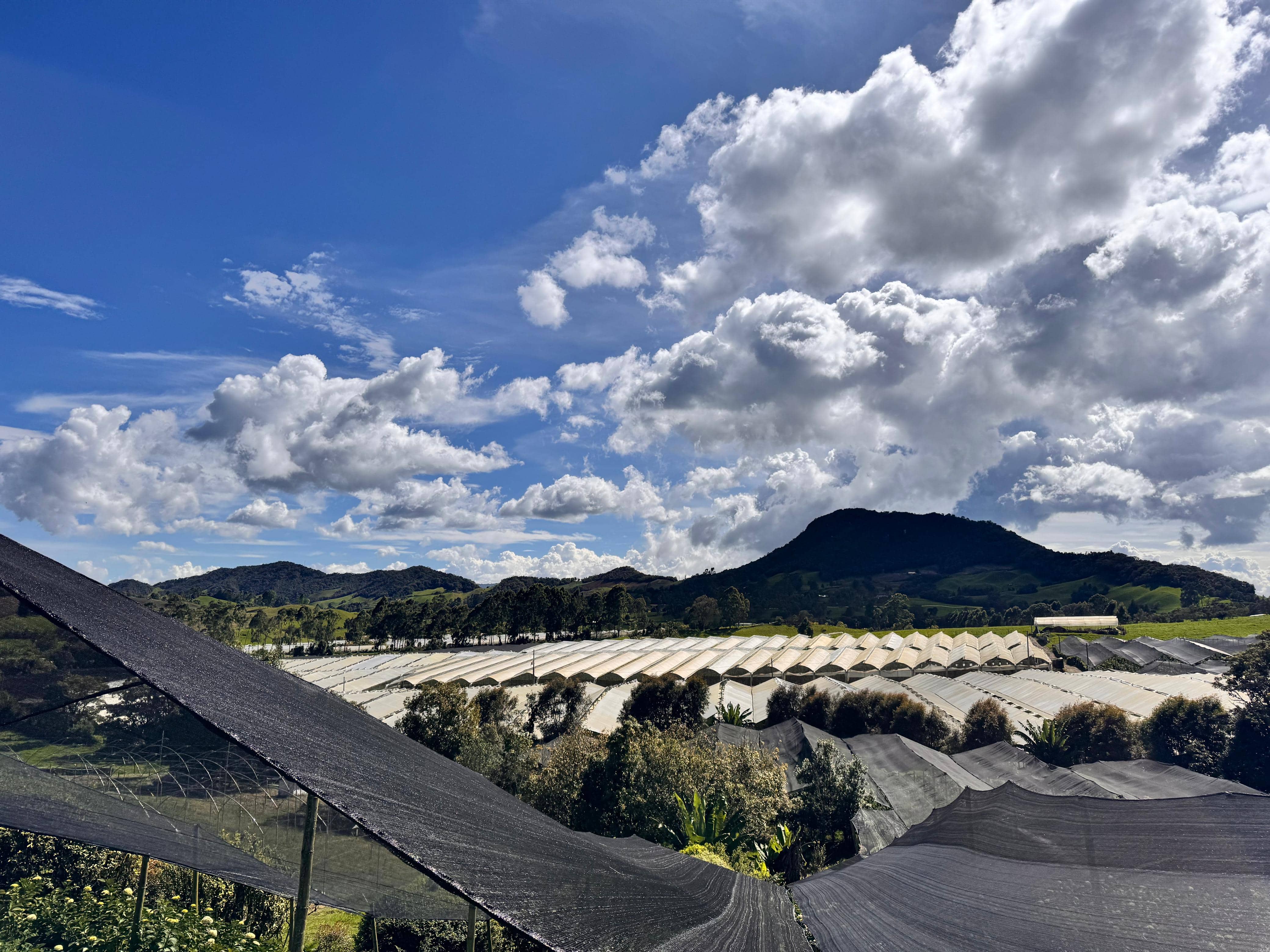 WhatsApp Image 2024-11-26 at 4.53.04 PM.jpg