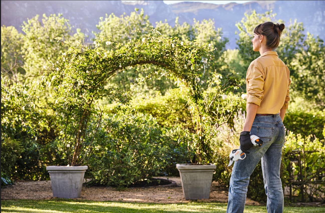 Tijeras de Podar a Batería STIHL ASA 20 | Cortes Precisos y Sin Fatiga para Jardines y Cultivos