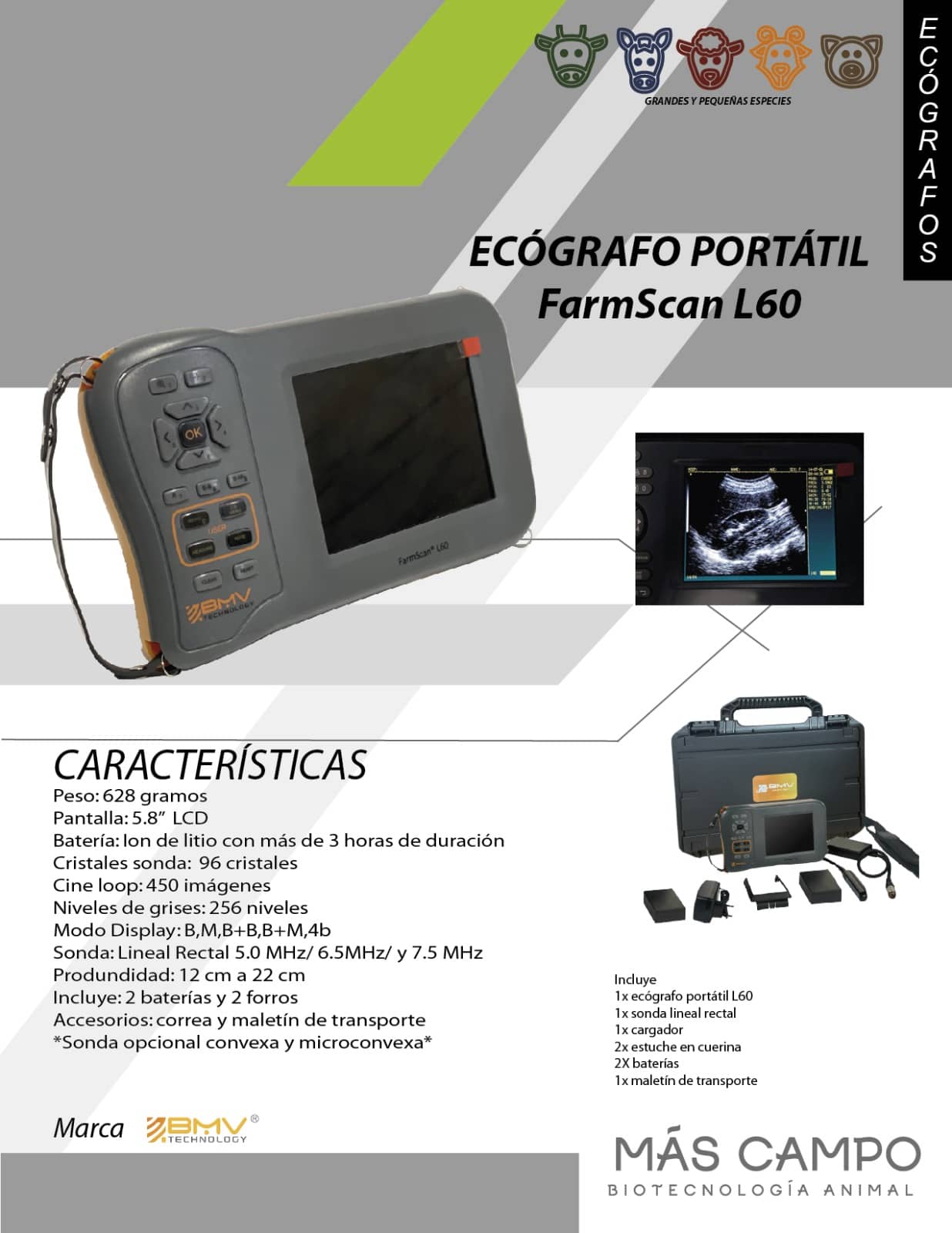Ecógrafo Portátil L60 - BMV