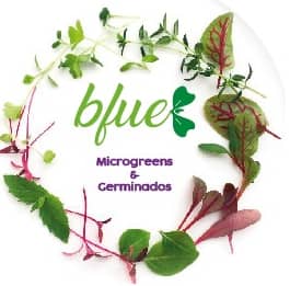 Microgreens y germinados BFUE