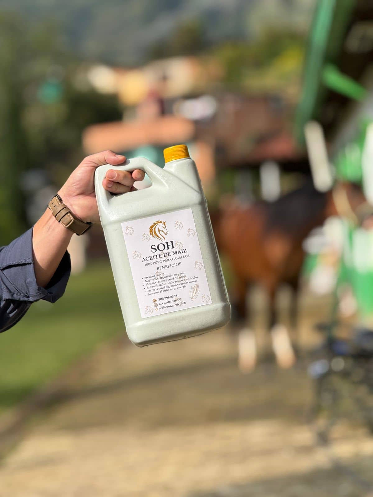 Aceite de Maíz SOH 4L – Suplemento para Caballos.