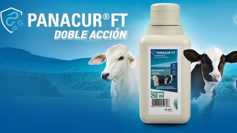 Panacur FT x 250 ml - MSD