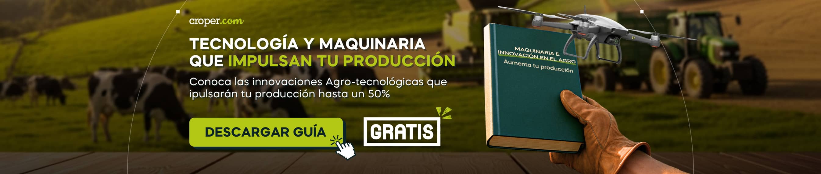 Lead Magnet Herramientas