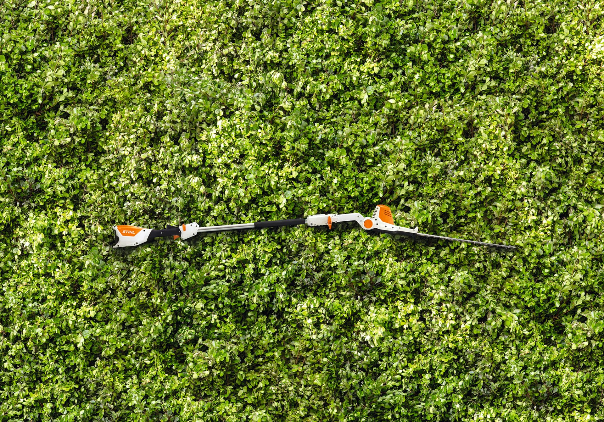 Cortasetos STIHL HLA 56 36V Largo Alcance