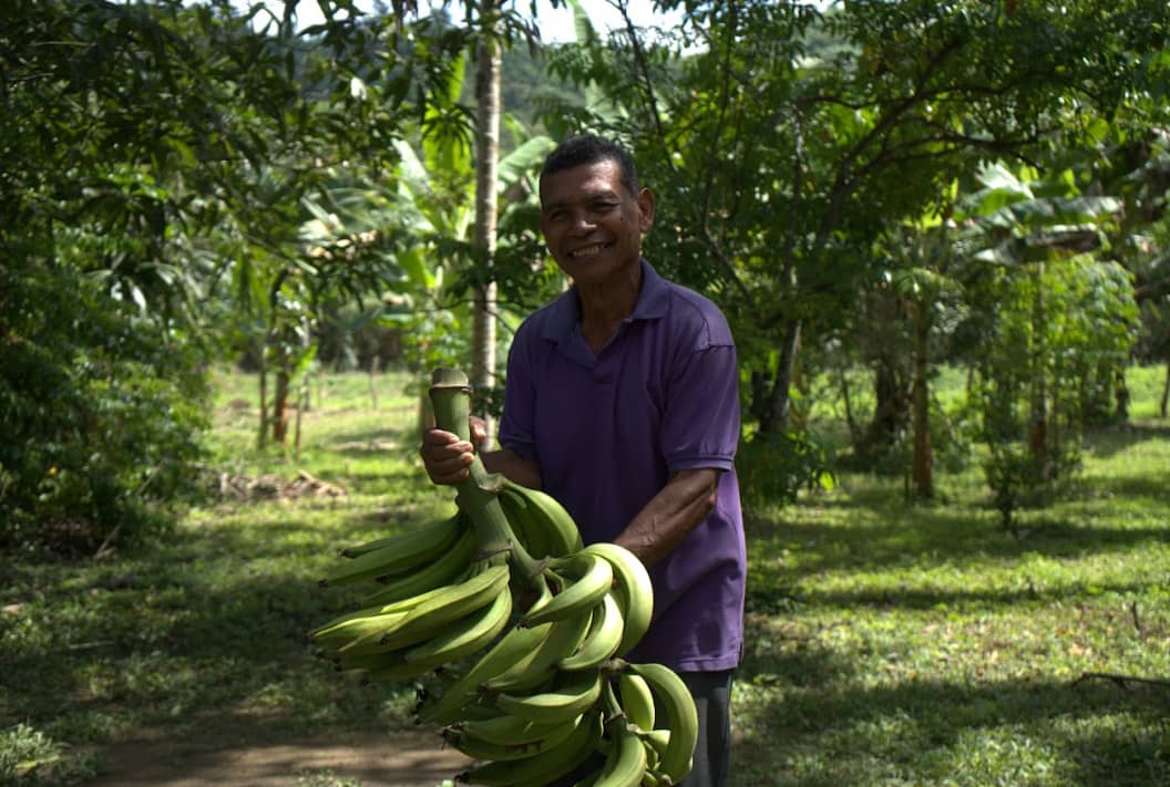 Captura de pantalla 2024-12-11 094651.png
