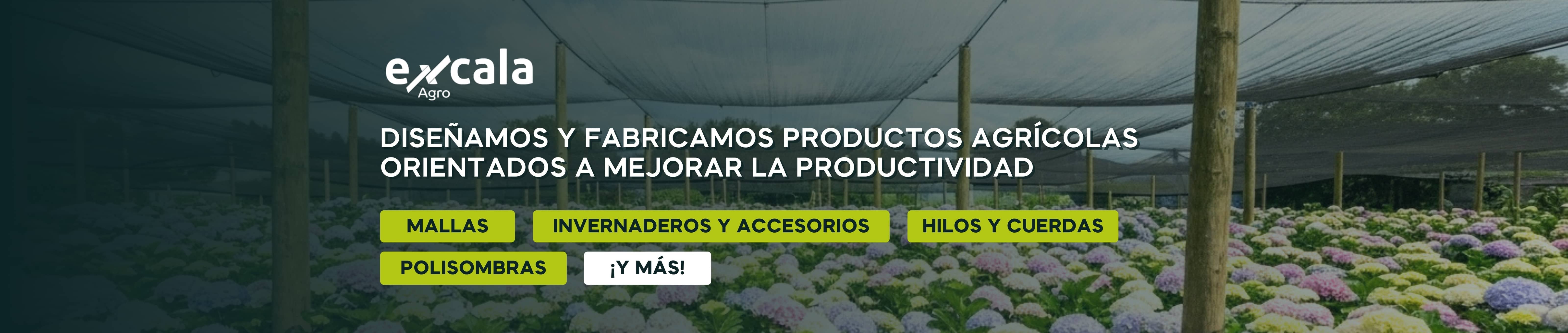 Grupo Excala