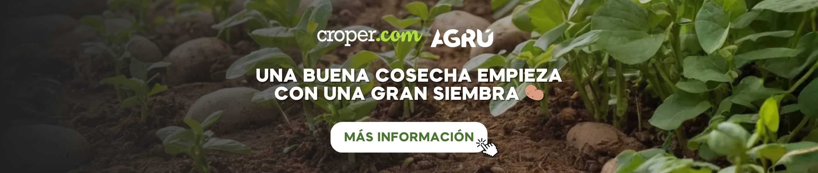 Prepara tu cultivo de papa para un inicio exitoso