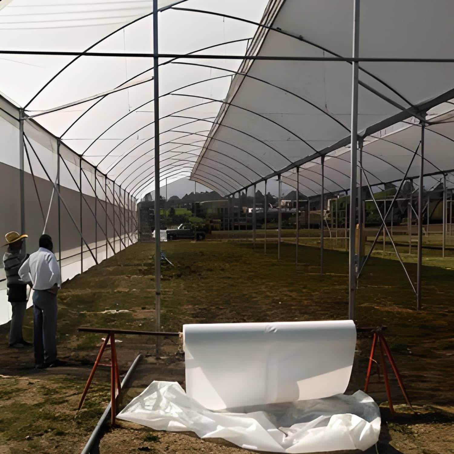 Plástico Agrofresh Lechoso | Luz Difusa y Frescura Agrícola