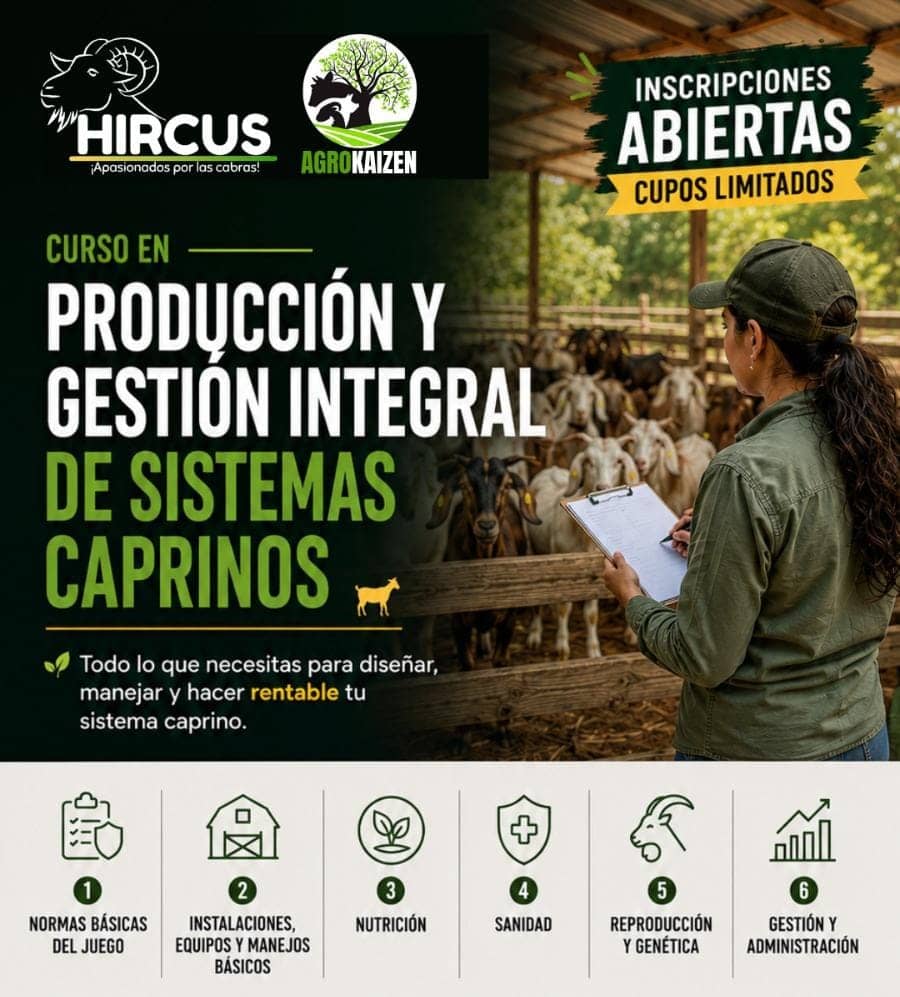 Curso taller en produccion caprina virtual alianza con HIRCUS