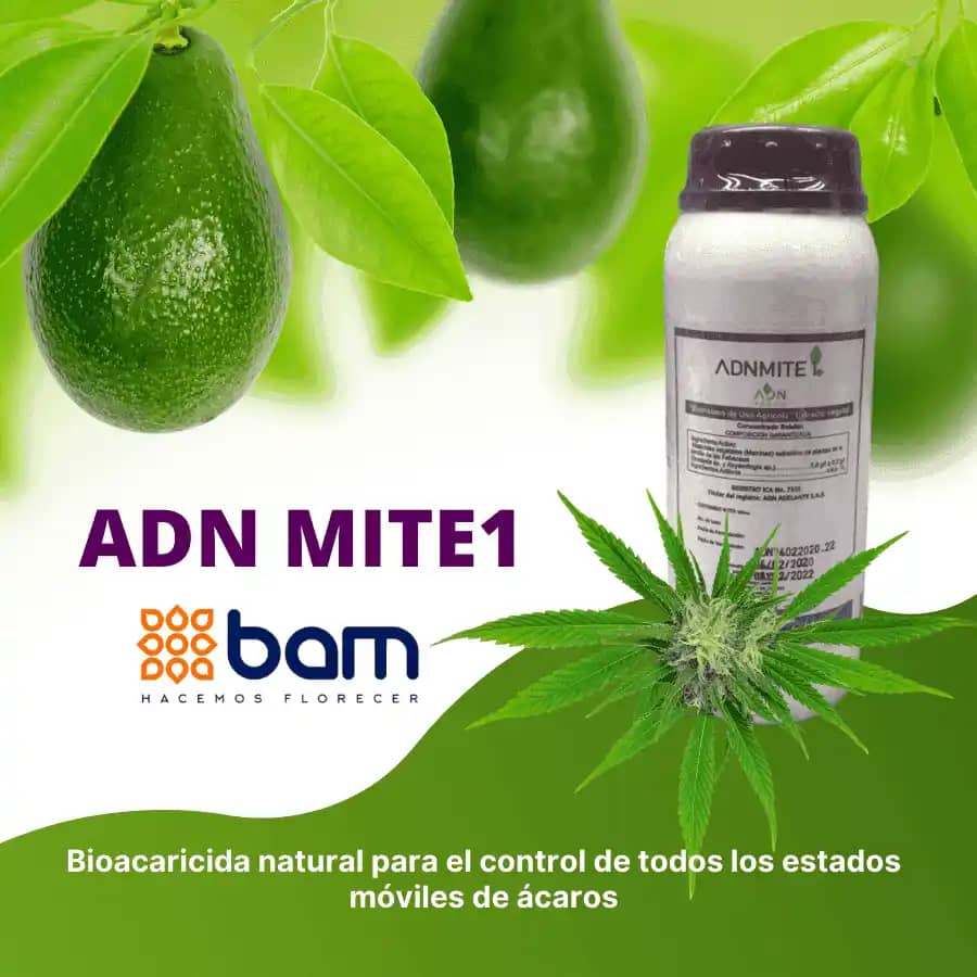 Acaricida Orgánico And Mite 1 - Bam
