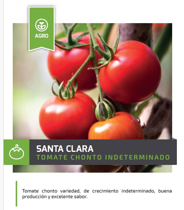 Semilla Tomate Santa Clara 454g – Rendimiento y calidad