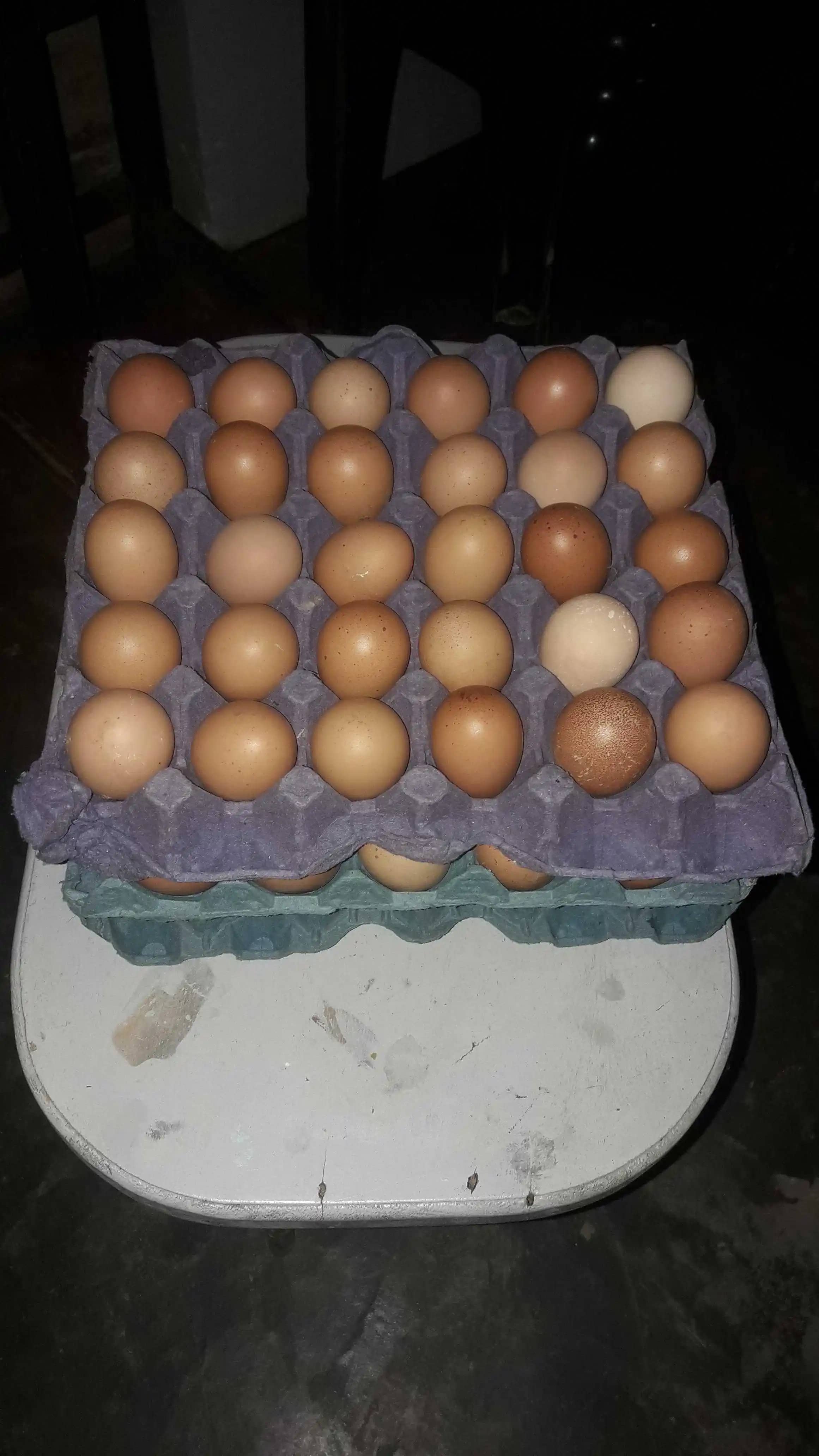 Venta de Huevos Canastillas X 30 Unds