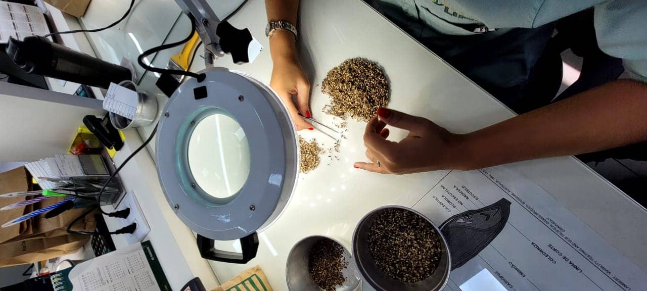 WhatsApp Image 2025-10-31 at 2.49.16 PM (3).jpeg