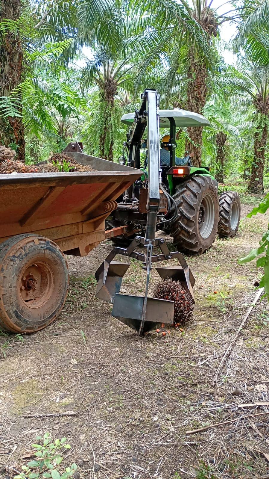 Grúa Grabber AC-80 para recolección de fruto de palma
