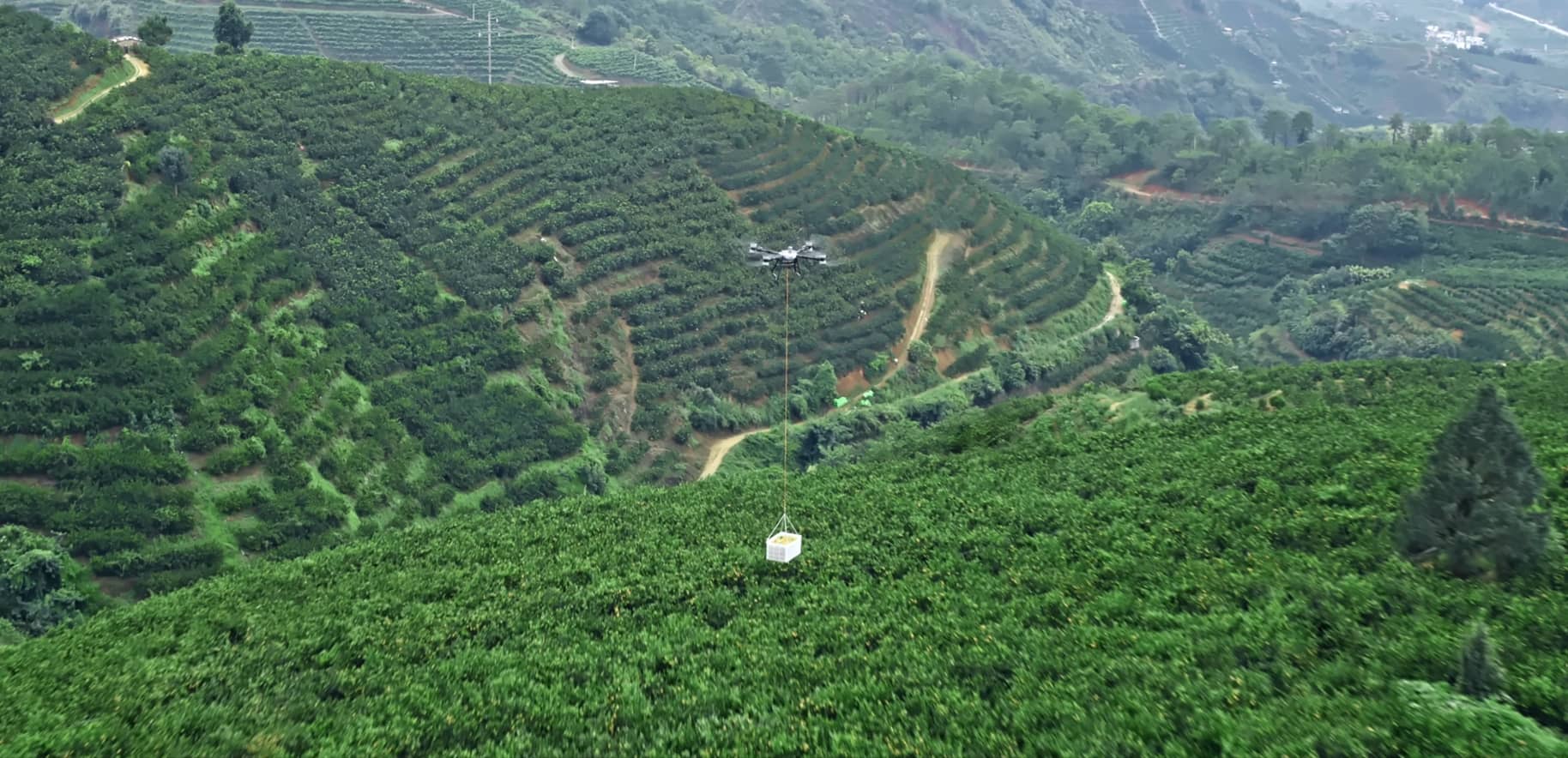 DJI Agras T100 | Dron agrícola de alto rendimiento