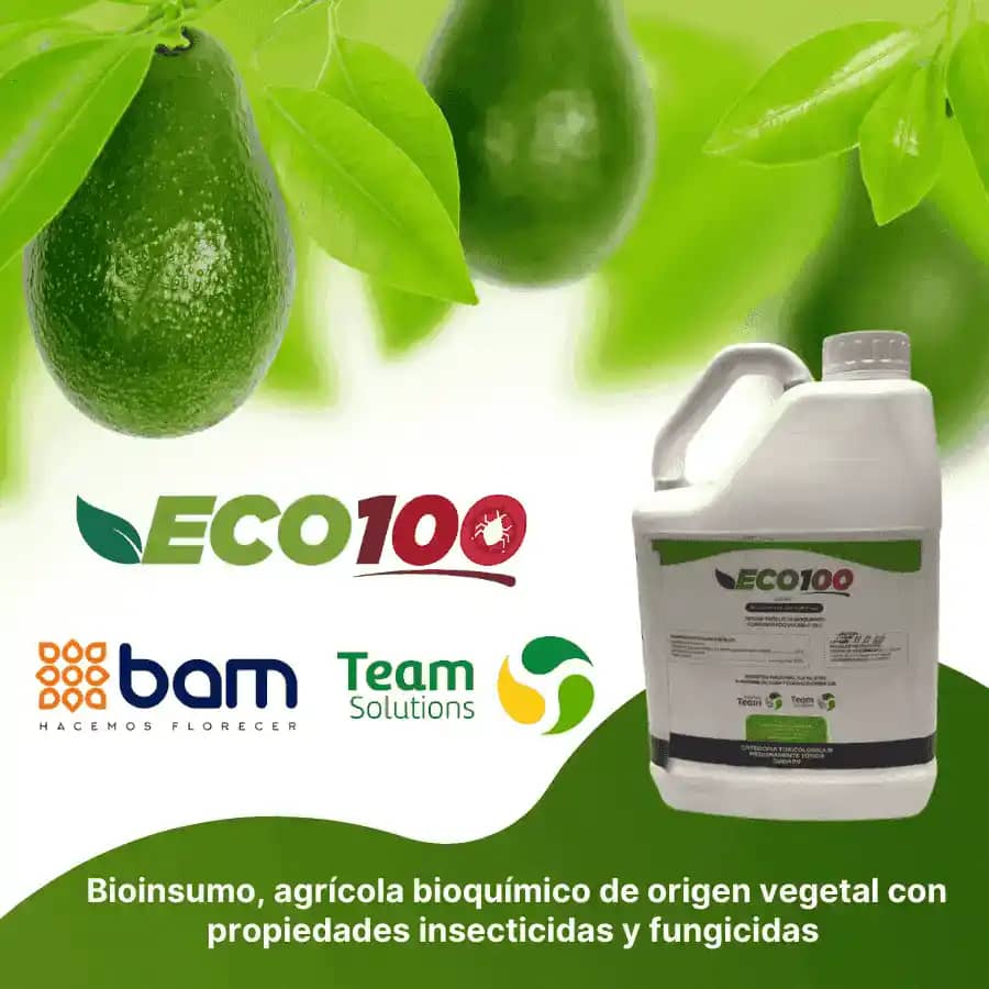 Insecticida Orgánico Eco100