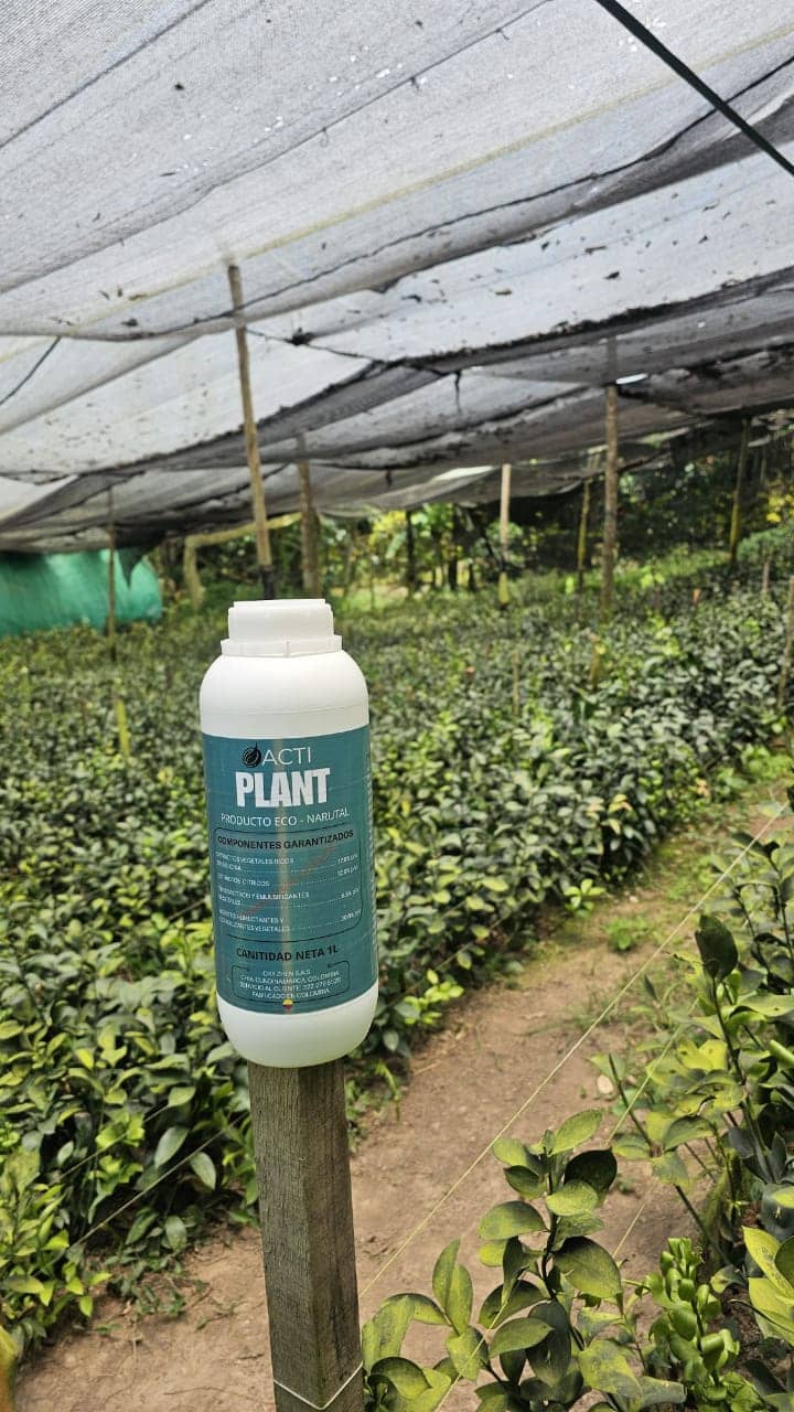 ACTIVA PLANT 1L | OXY ZHEN - Bioestimulante Agrícola  Activador