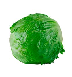 Lechuga-Batavia APP.jpg