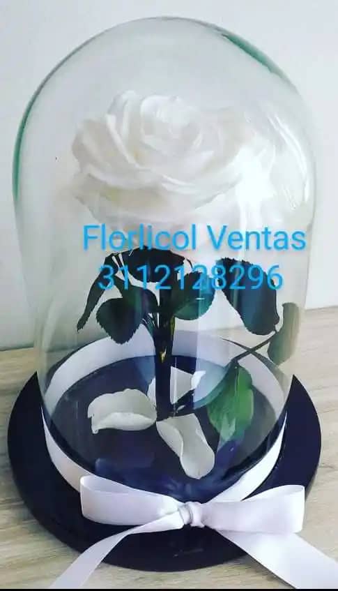 Screenshot_2021-07-21-19-36-48-346_com.whatsapp_3.jpg