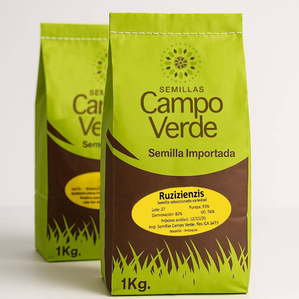 Semilla de pasto Brachiaria Ruziziensis – Pureza 93% – VC 76% – Importada de Brasil