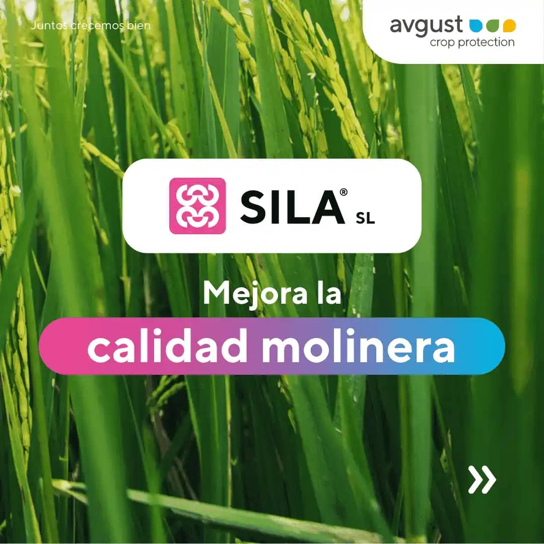SILA SL Fertilizante Foliar - Silicio