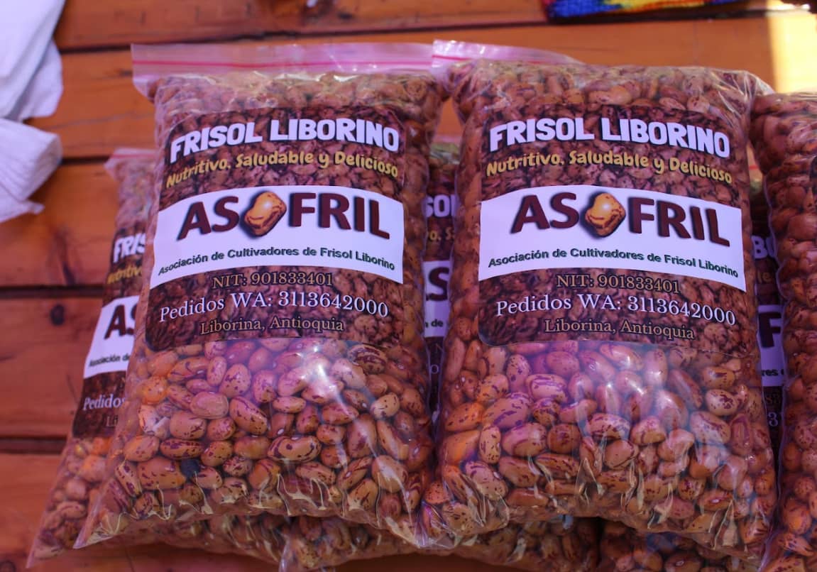 Frisol liborina.png