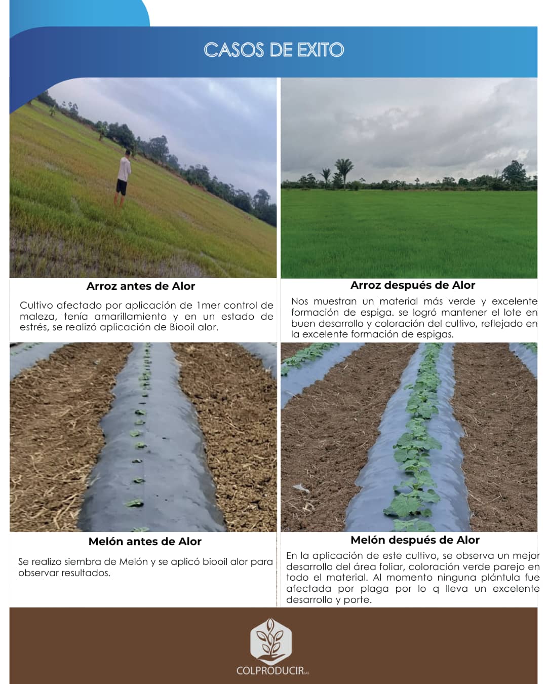 Diseño sin título.zip - 1.png