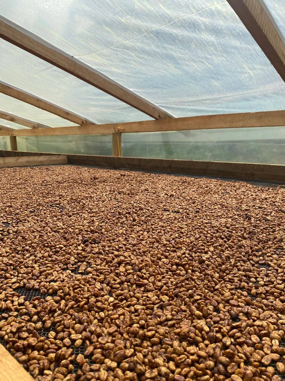 WhatsApp Image 2026-03-25 at 08.10.05 (3).jpeg