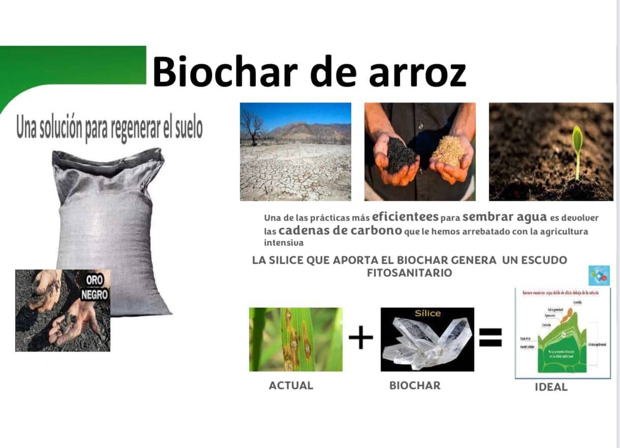 Regenerador de Suelos Biochar de arroz x 15 Kg