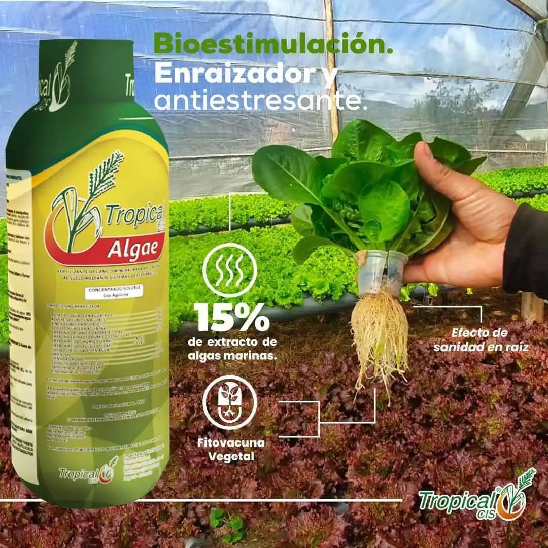 Biofertilizante Foliar Tropical Algae x 12 Lt