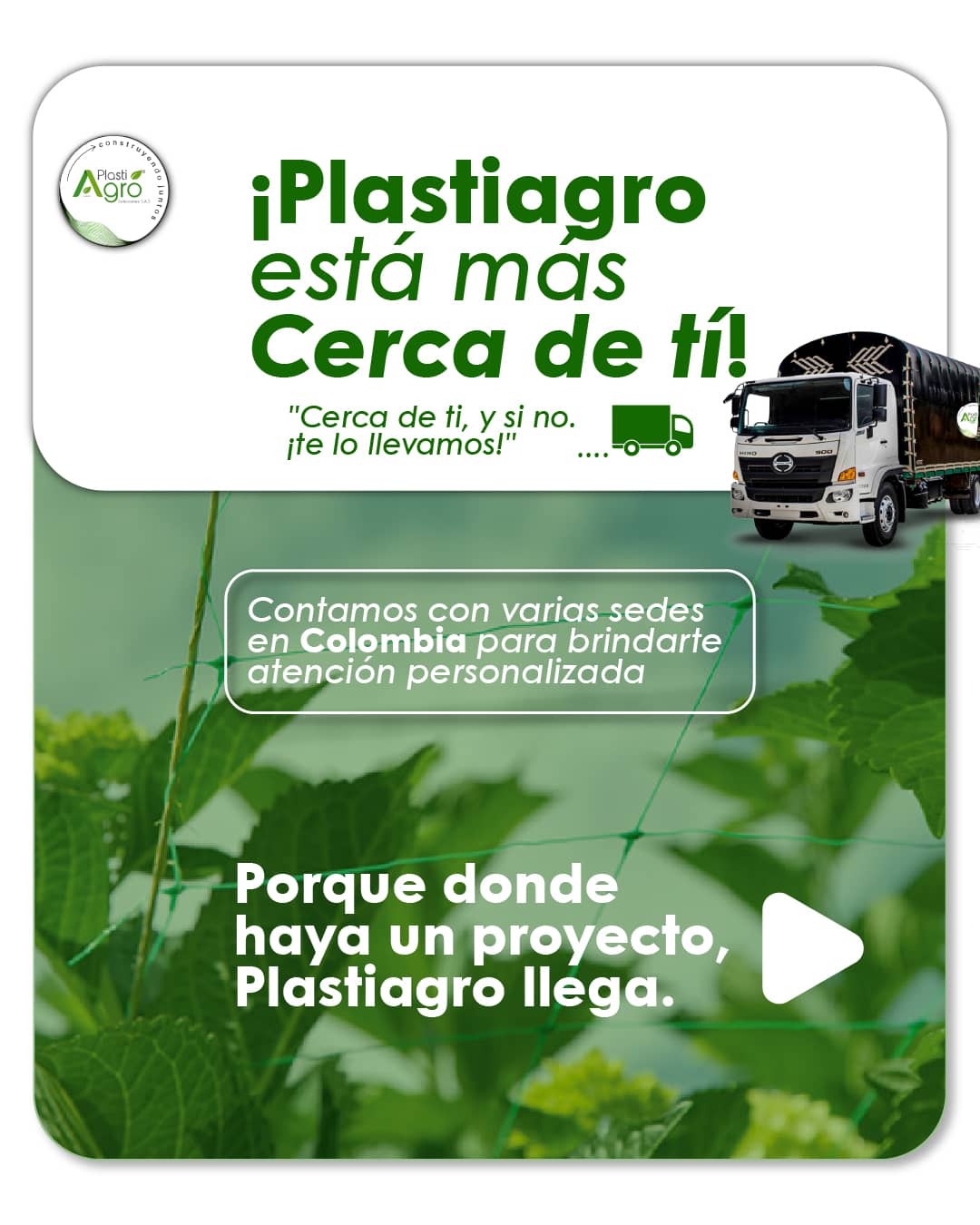 Mesa de trabajo 1-100.jpg