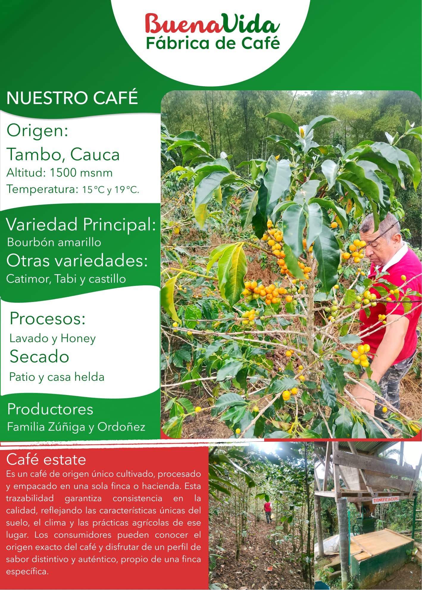 CAFÉ VERDE TRILLADO EXCELSO
