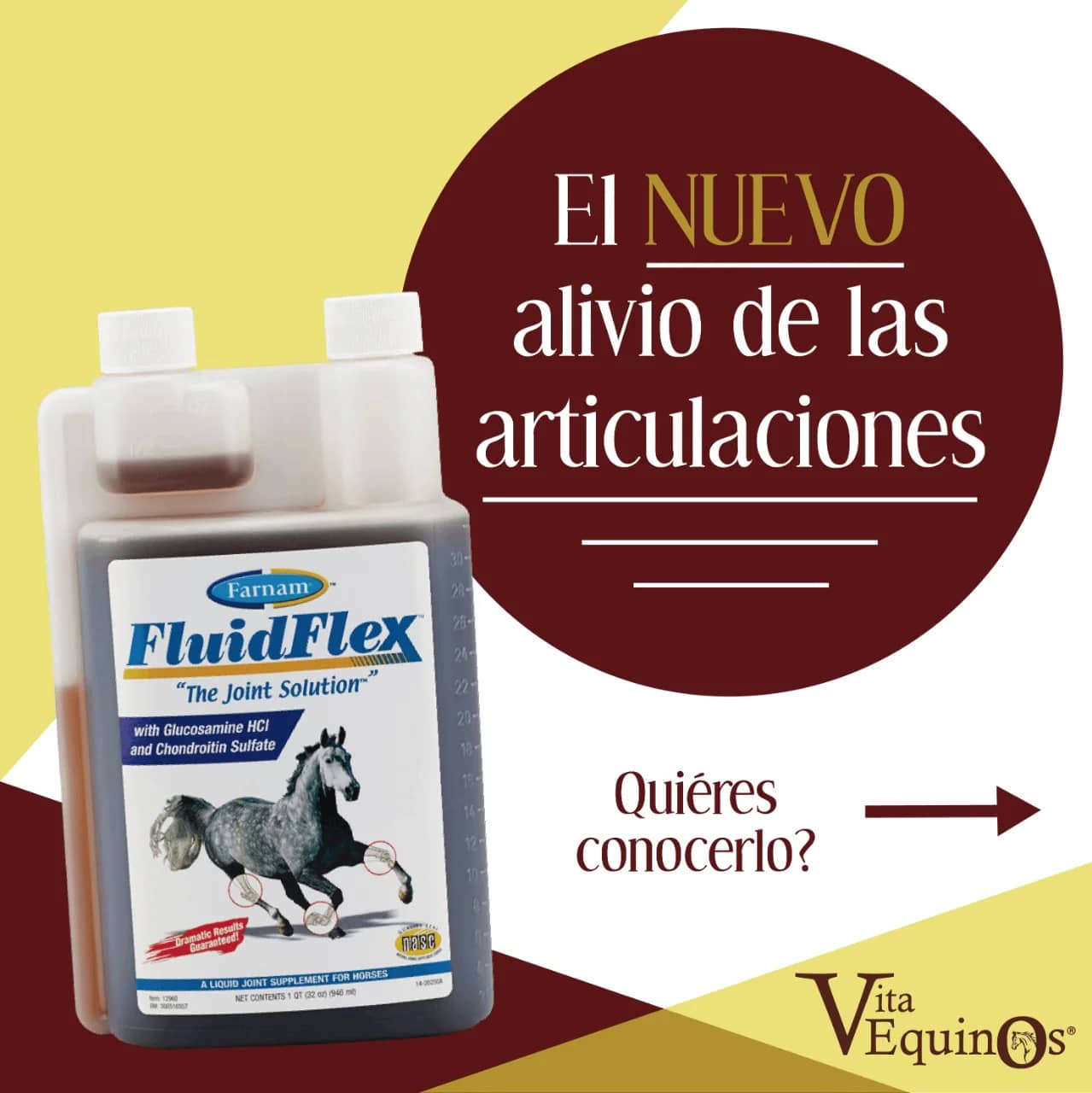 Fluid Flex: solución equina para articulaciones saludables